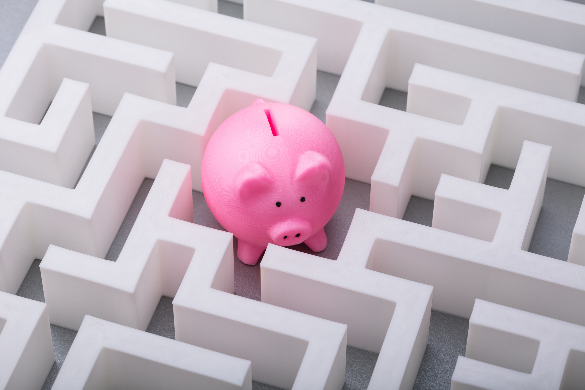Pink Piggybank In The Centre Of Maze